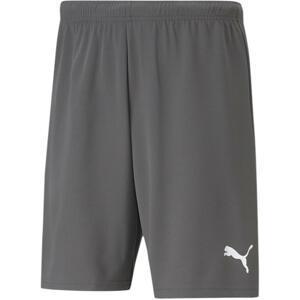 Šortky Puma teamRISE Short