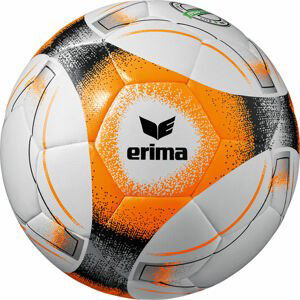 Lopta Erima Erima Hybrid Lite 290 Trainingsball