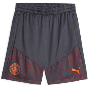 Šortky Puma Manchester City Football Training Shorts