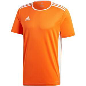 Dres adidas ENTRADA 18 JSY Y