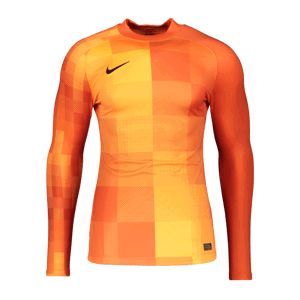 Dres s dlhým rukávom Nike  Park t