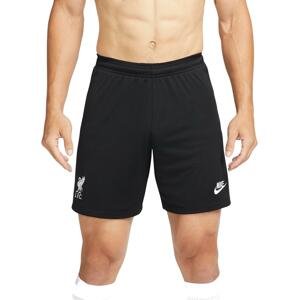 Šortky Nike Liverpool FC 2021/22 Stadium Goalkeeper Men s Soccer Shorts