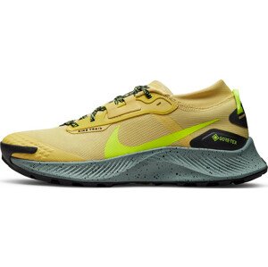 Trailové topánky Nike Pegasus Trail 3 GTX