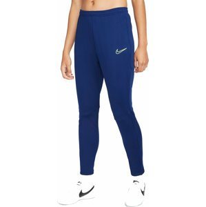 Nohavice Nike  Therma-FIT Academy Winter Warrior Womens