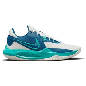 Basketbalové topánky Nike  Precision 6