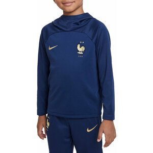 Mikina s kapucňou Nike LK NK FFF DRY HOODIE