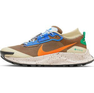 Trailové topánky Nike Pegasus Trail 3 GTX