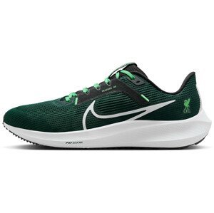 Bežecké topánky Nike  ZOOM PEGASUS 40 LFC