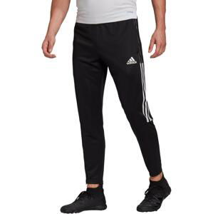 Nohavice adidas TIRO21 TR PNT