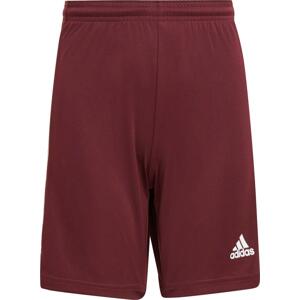 Šortky adidas SQUAD 21 SHORTS Y