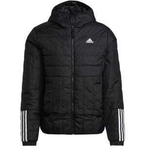 Bunda s kapucňou adidas Terrex ITAVIC L HO JKT