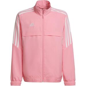 Bunda adidas CON22 PRE JKT Y