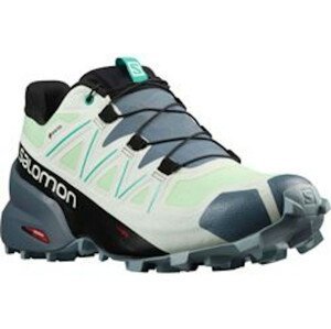 Trailové topánky Salomon SPEEDCROSS 5 GTX W