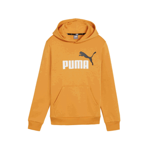 PUMA Chl. mikina s kapucňou ESS 2 Col Bi Farba: Hnedá, Veľkosť: 152