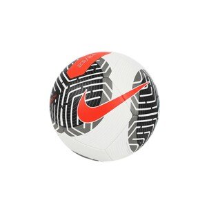 NIKE Futbalová lopta Pitch Farba: Strieborná, Veľkosť: 5