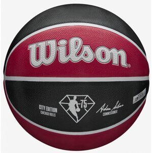 Wilson Basketbalová lopta NBA Team City Farba: Biela, Veľkosť: 007