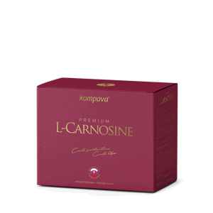 Premium L-Carnosine 375 mg/60 kps + darček