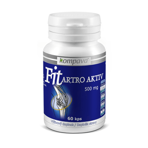 Fit Artro Aktiv 500 mg/60 kps 500 mg/60 kps