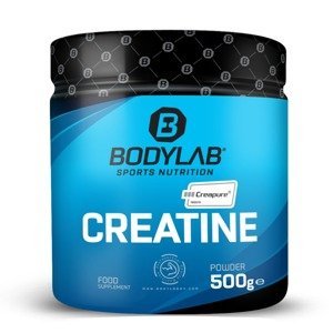 Bodylab24 Creatine (Creapure®) 500 g