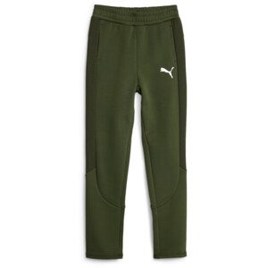 Nohavice Puma EVOSTRIPE Pants DK B