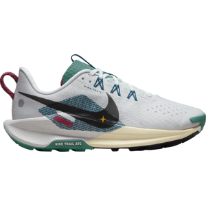 Trailové topánky Nike Pegasus Trail 5