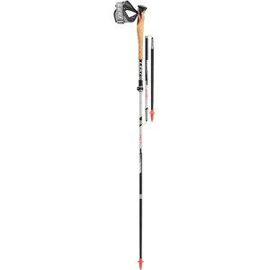 Palice Leki Poles MCT 12 Vario Carbon