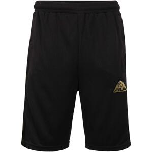 Šortky Fila MEN WILTON shorts