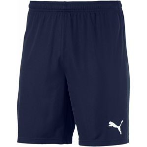 Šortky Puma teamGOAL 23 knit Shorts