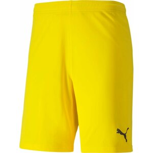 Šortky Puma teamGOAL 23 knit Shorts jr