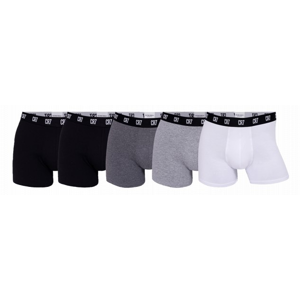 Boxerky CR7 Basic Trunk Boxershort 5P