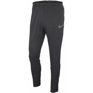 Nohavice Nike M NK DRY ACDMY19 PANT WPZ