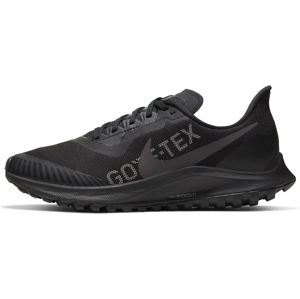 Trailové topánky Nike W ZOOM PEGASUS 36 TRAIL GTX