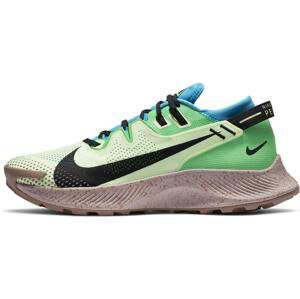 Trailové topánky Nike  PEGASUS TRAIL 2