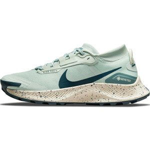 Trailové topánky Nike Pegasus Trail 3 Gore-Tex