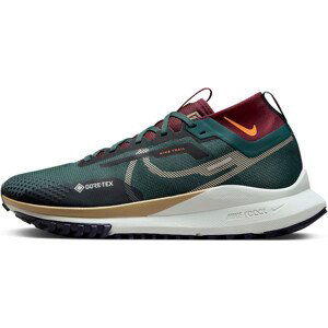 Trailové topánky Nike Pegasus Trail 4 GORE-TEX