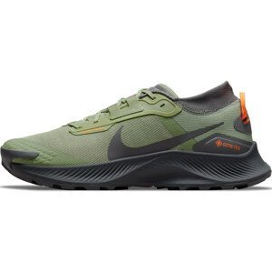 Trailové topánky Nike Pegasus Trail 3 GTX
