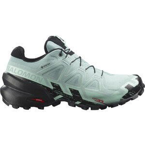 Trailové topánky Salomon SPEEDCROSS 6 GTX W