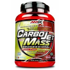 CarboJet Mass Professional - Amix 1800 g Lesné ovocie