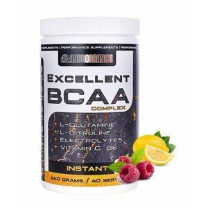 Excellent BCAA Complex - Androrganics 440 g Malina