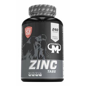 Zinc Tabs - Mammut Nutrition 240 tbl.