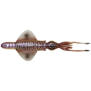 Savage gear swim squid rtf cuttlefish - 18 cm 90 g