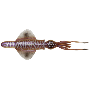 Savage gear swim squid rtf cuttlefish - 25 cm 200 g