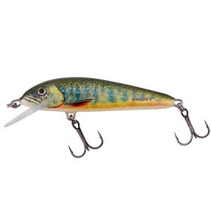 Salmo wobler minnow sinking lake charr - 6 cm