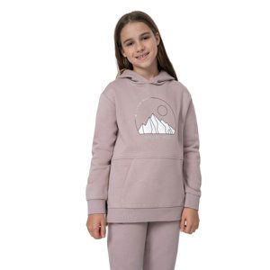 4F-SWEATSHIRT F277-52S-LIGHT VIOLET Fialová 164