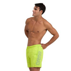 ARENA-FUNDAMENTALS LOGO BOXER R Green Zelená XXL