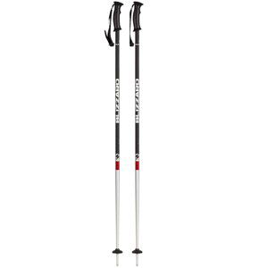 BLIZZARD-Rental ski poles Mix 110 cm 20/21