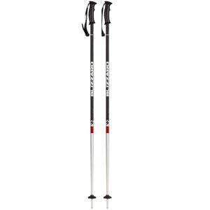BLIZZARD-Rental ski poles Mix 115 cm 20/21