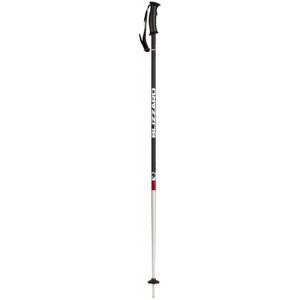 BLIZZARD-Rental junior ski poles Šedá 85 cm 20/21