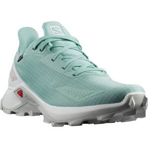 SALOMON-Alphacross Blast GTX pastel/turquoise Modrá 36 2/3