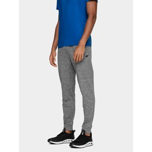 4F-MENS FUNCTIONAL TROUSERS SPMTR350-27M Šedá XXL